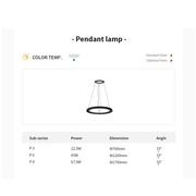 LOOP | Ceiling Light | Pendant Light gallery detail image