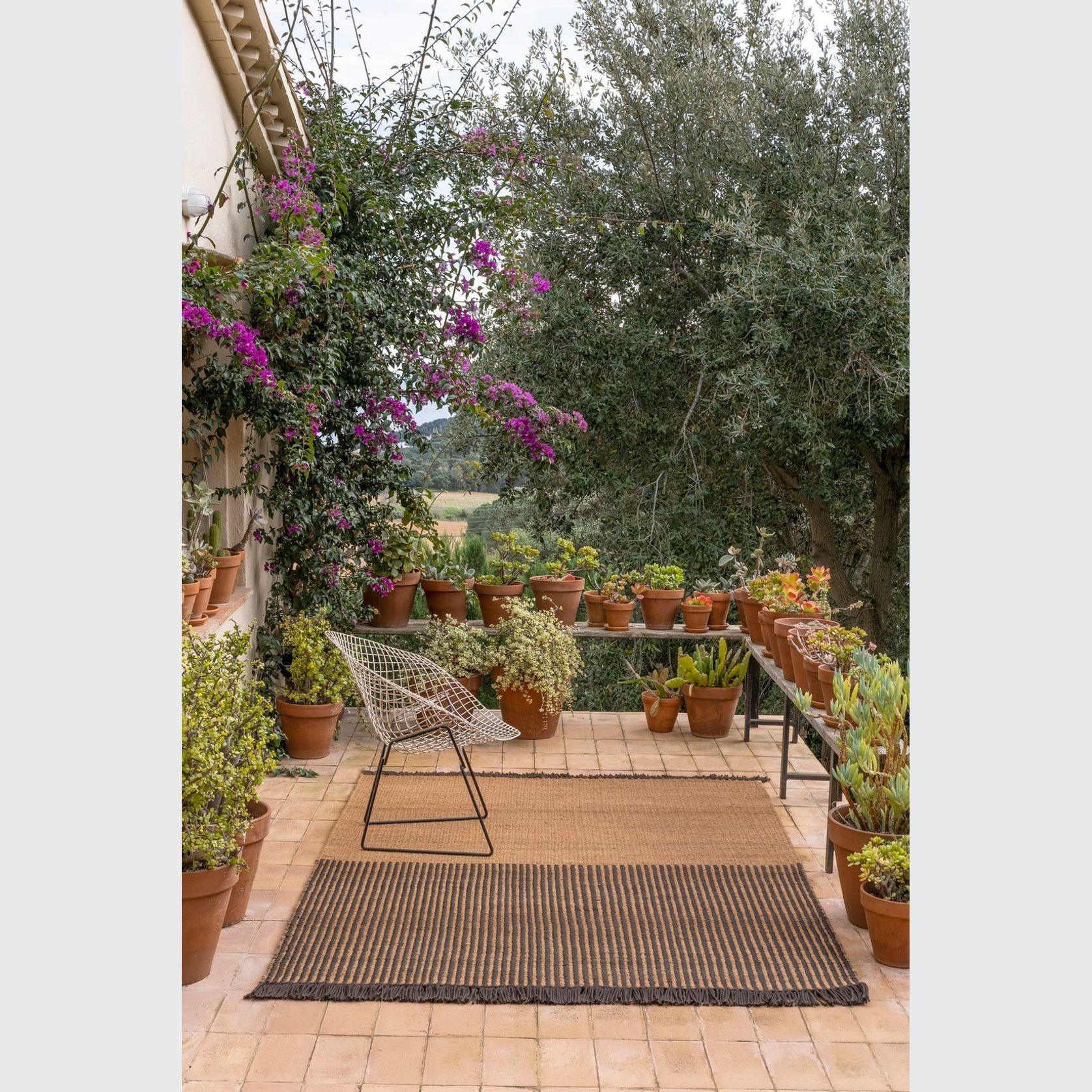 Garden Collection gallery detail image