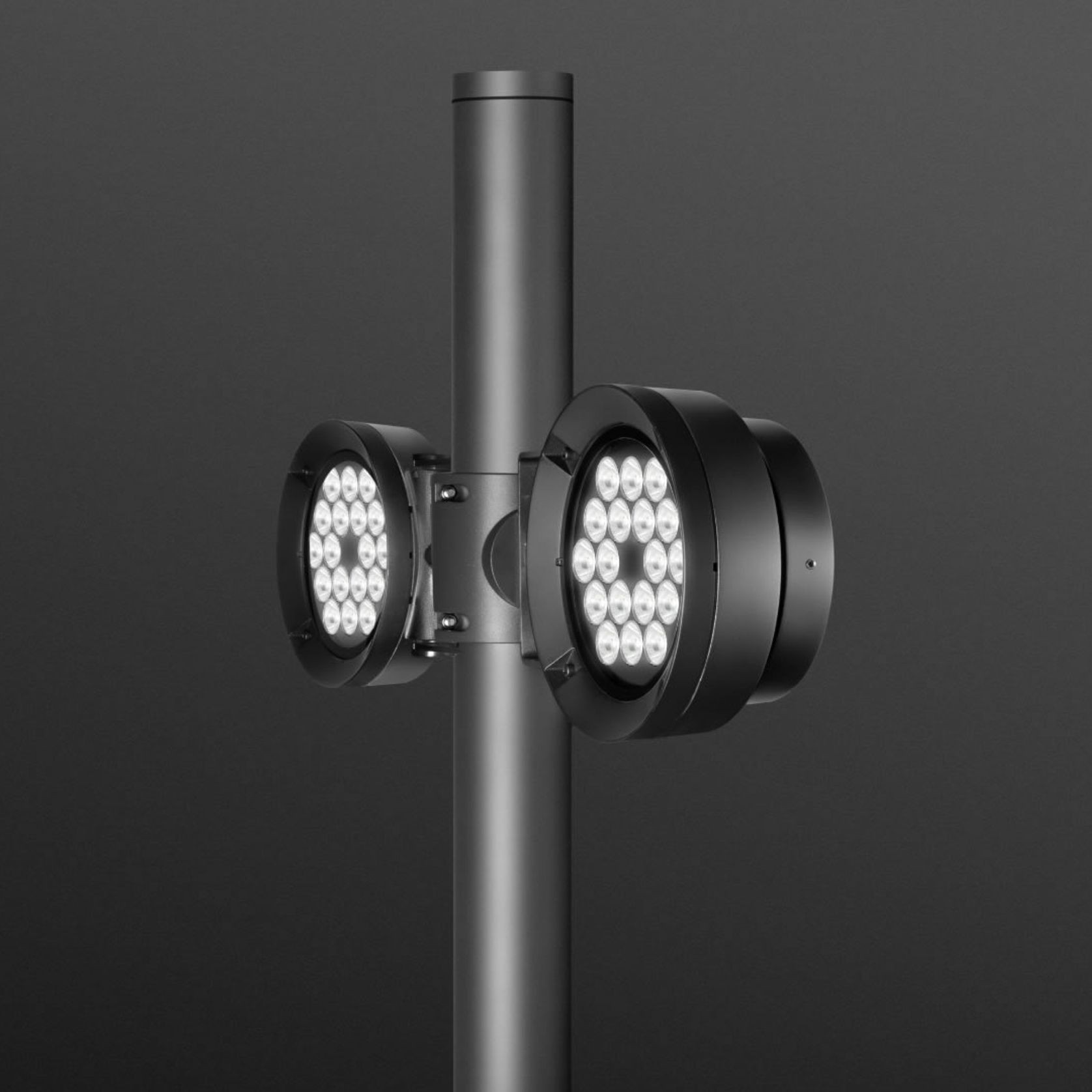 Pointer Pole Mounted gallery detail image