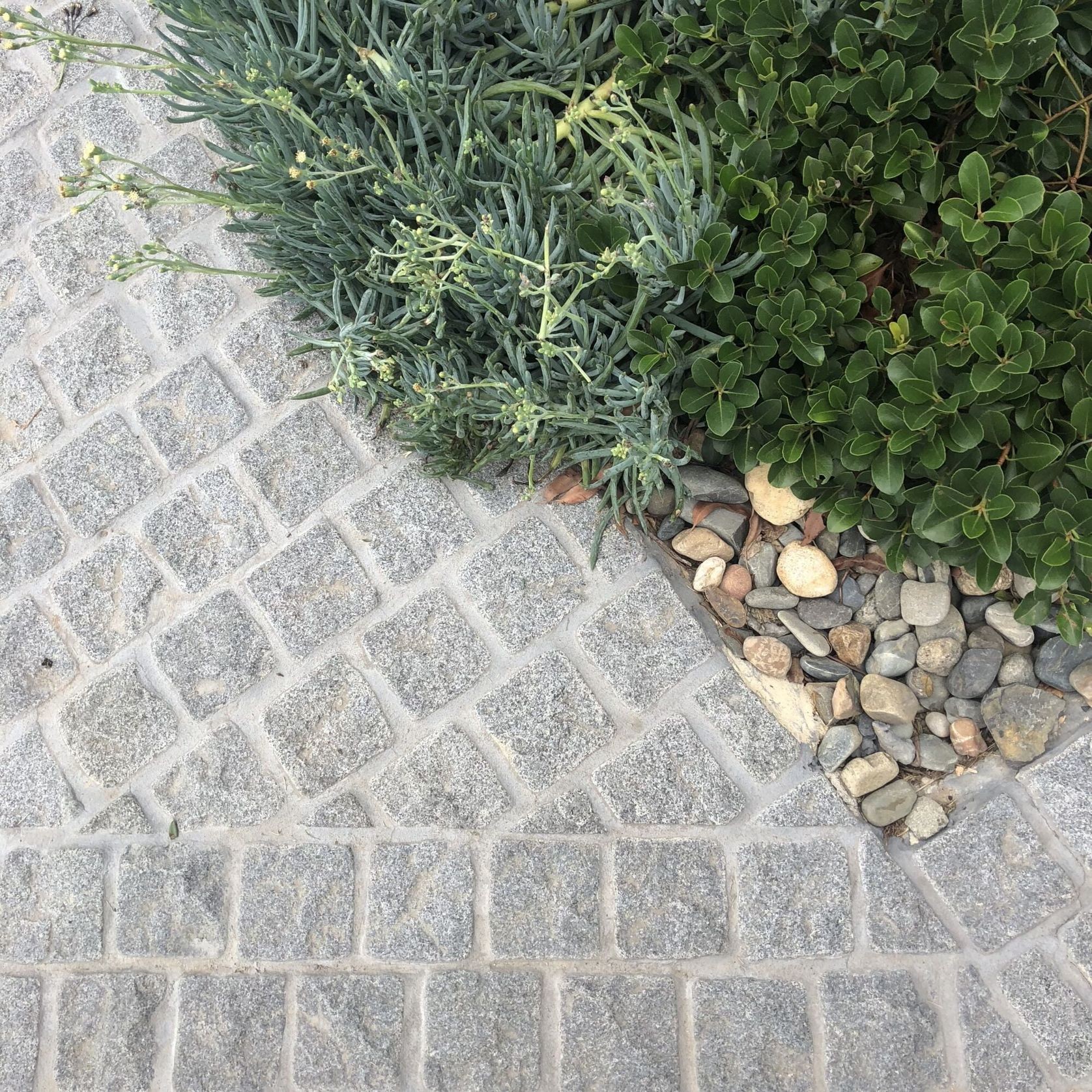 Cobblestone - Chippendale gallery detail image