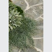 Eco Outdoor Split Stone Outdoor Pavers gallery detail image