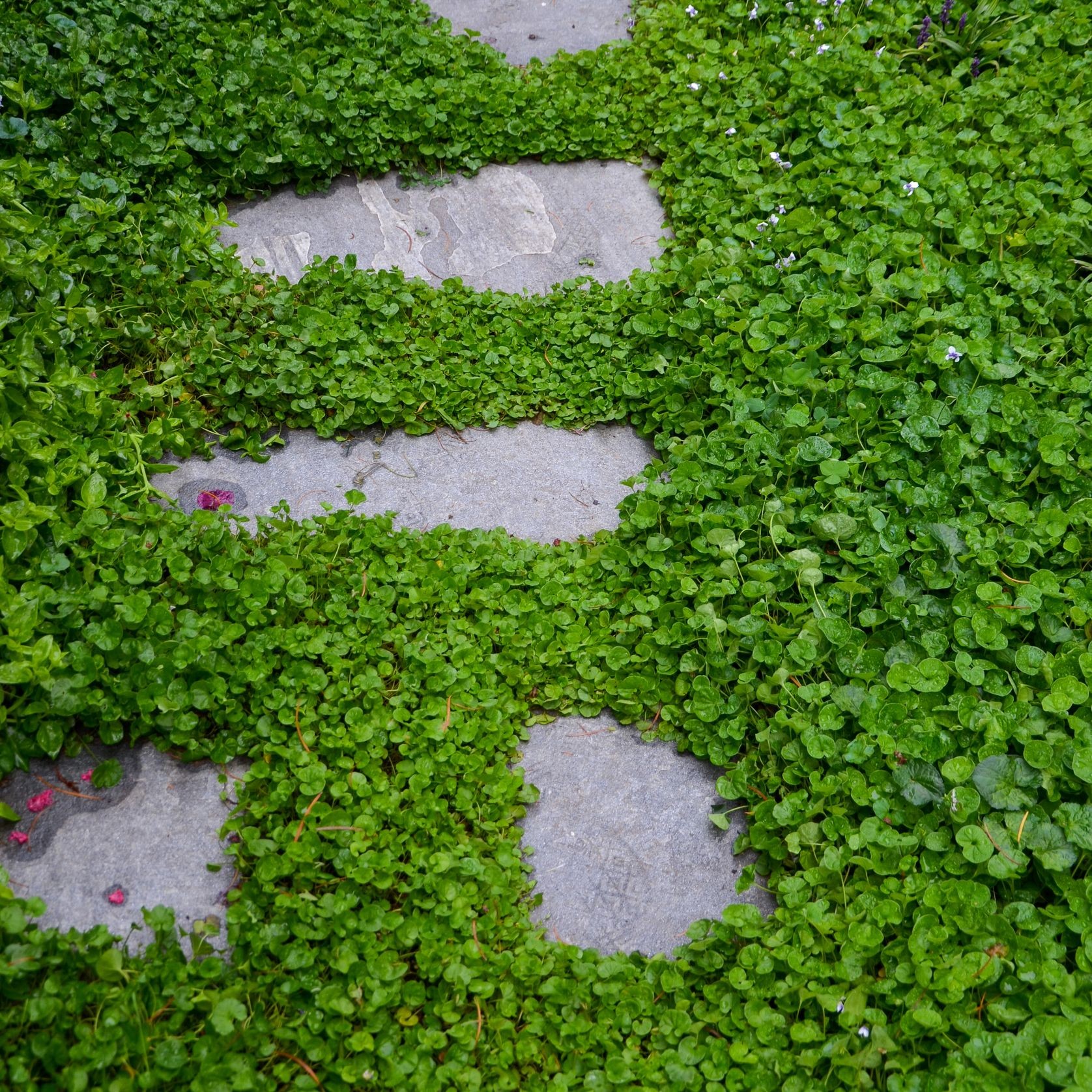 Eco Outdoor Split Stone Outdoor Pavers gallery detail image