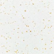 Di Lusso Terrazzo gallery detail image