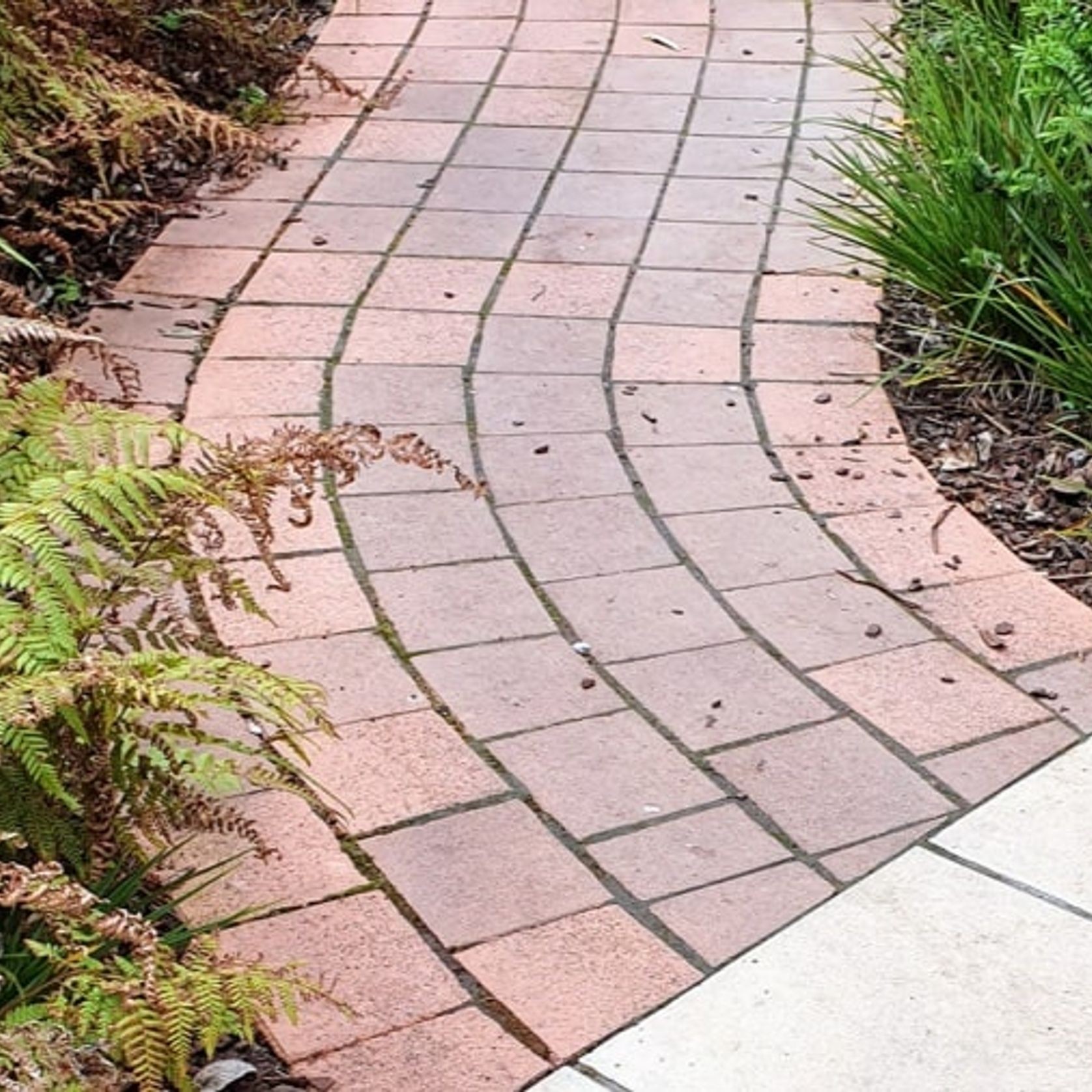 Wet Cast Paving gallery detail image