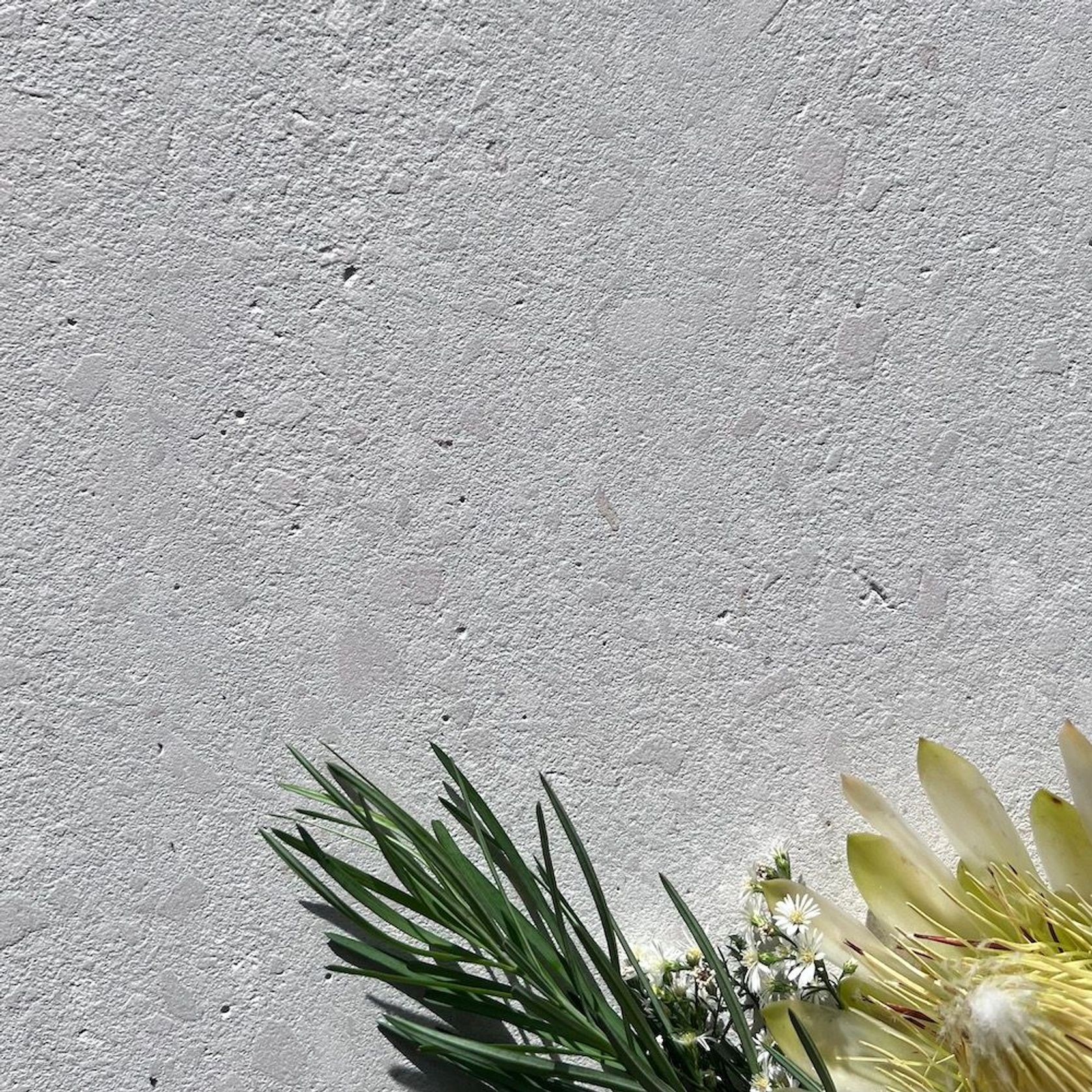 Di Lusso Terrazzo gallery detail image