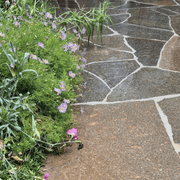 Porphyry Crazy Paving gallery detail image