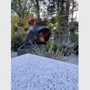 Di Lusso Terrazzo gallery detail image