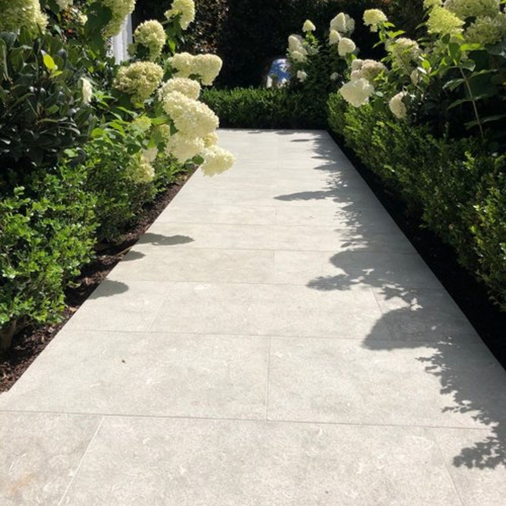 Seagrass Limestone | Paving gallery detail image