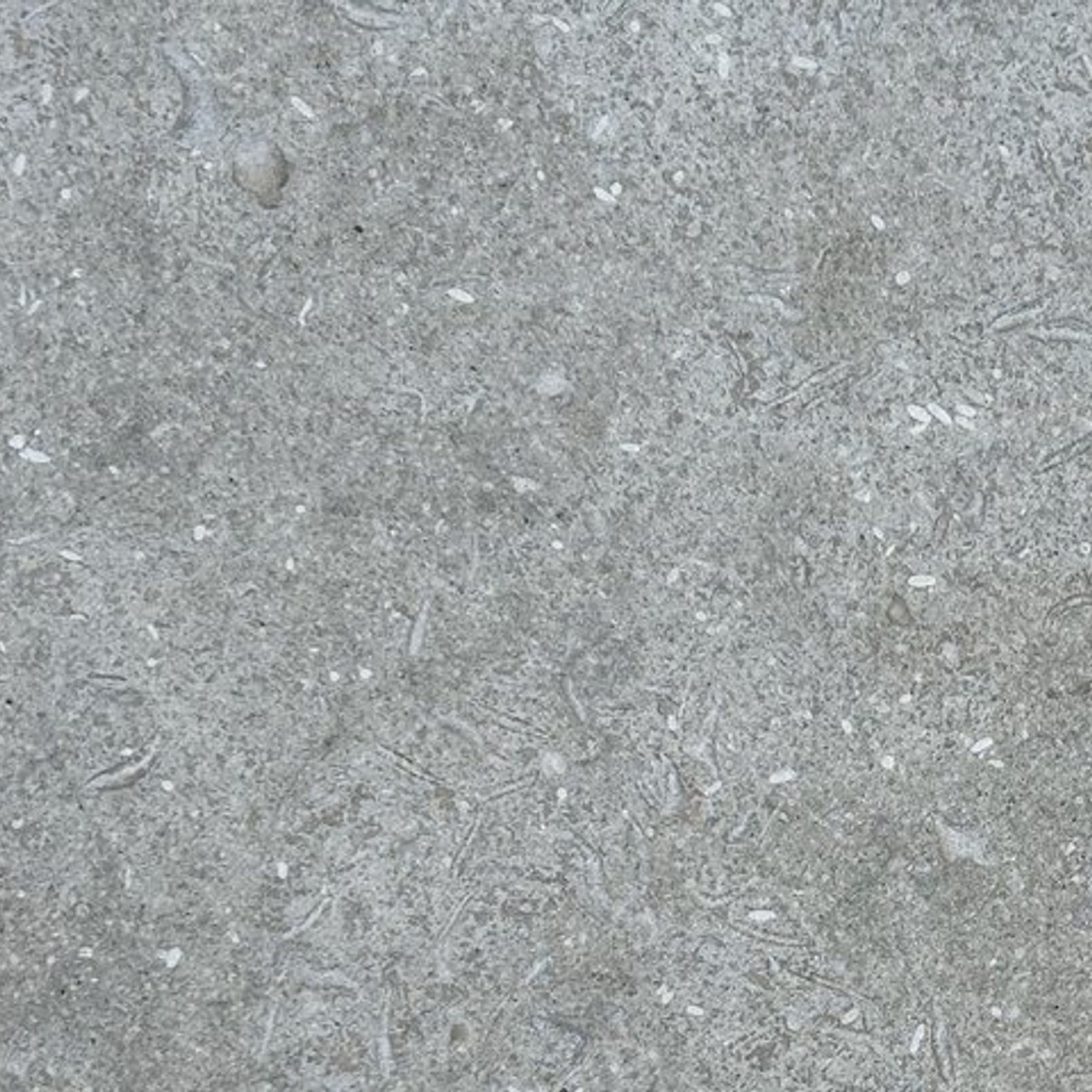 Seagrass Limestone | Paving gallery detail image