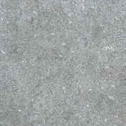 Seagrass Limestone | Paving gallery detail image