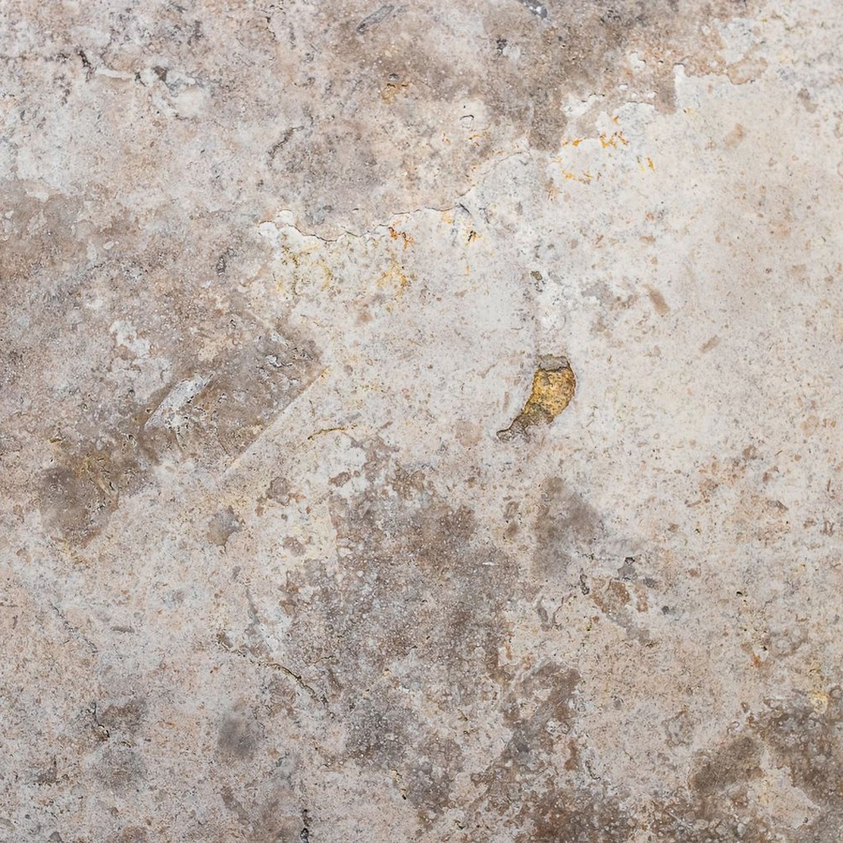 Sparta Silver Travertine Collection | Stone gallery detail image