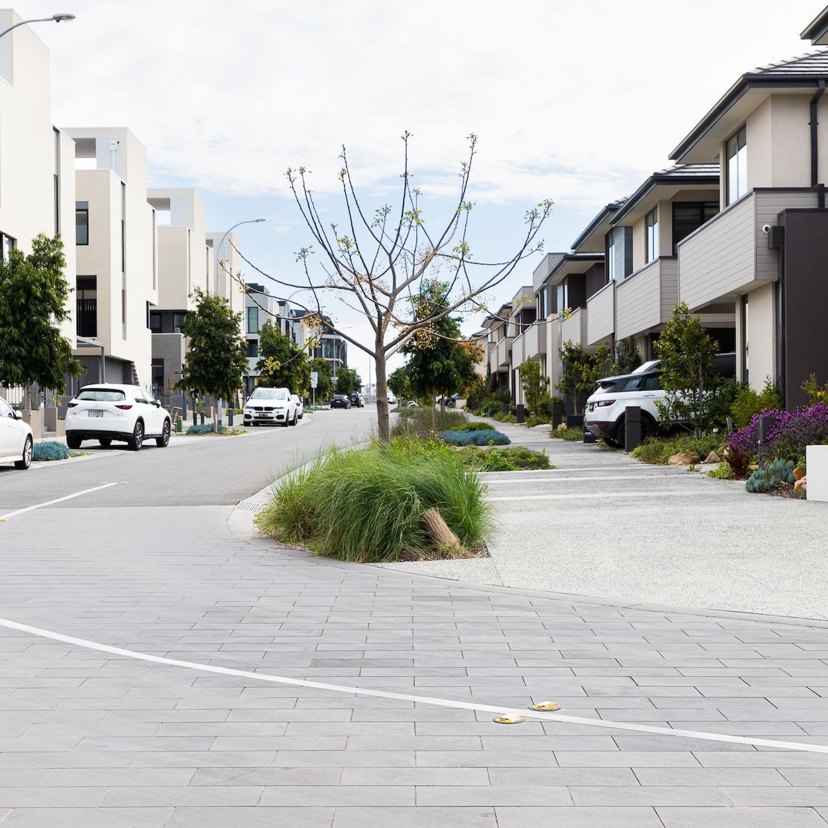 Melbourne City Approved, Tiliqua Bluestone Pavers gallery detail image