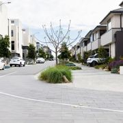 Melbourne City Approved, Tiliqua Bluestone Pavers gallery detail image