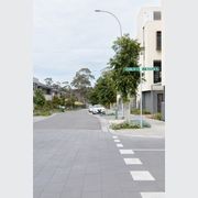 Melbourne City Approved, Tiliqua Bluestone Pavers gallery detail image