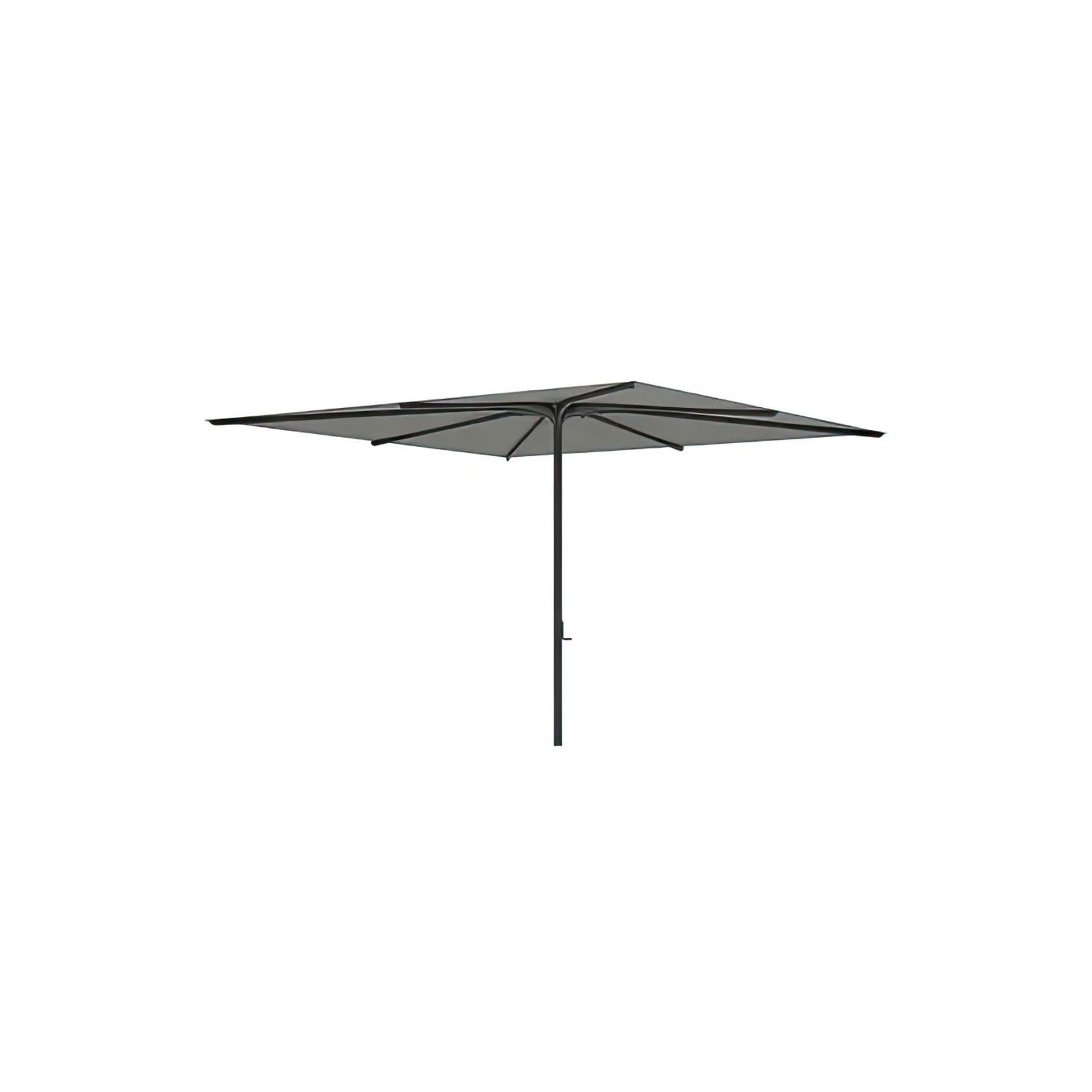 Bloom Umbrella gallery detail image