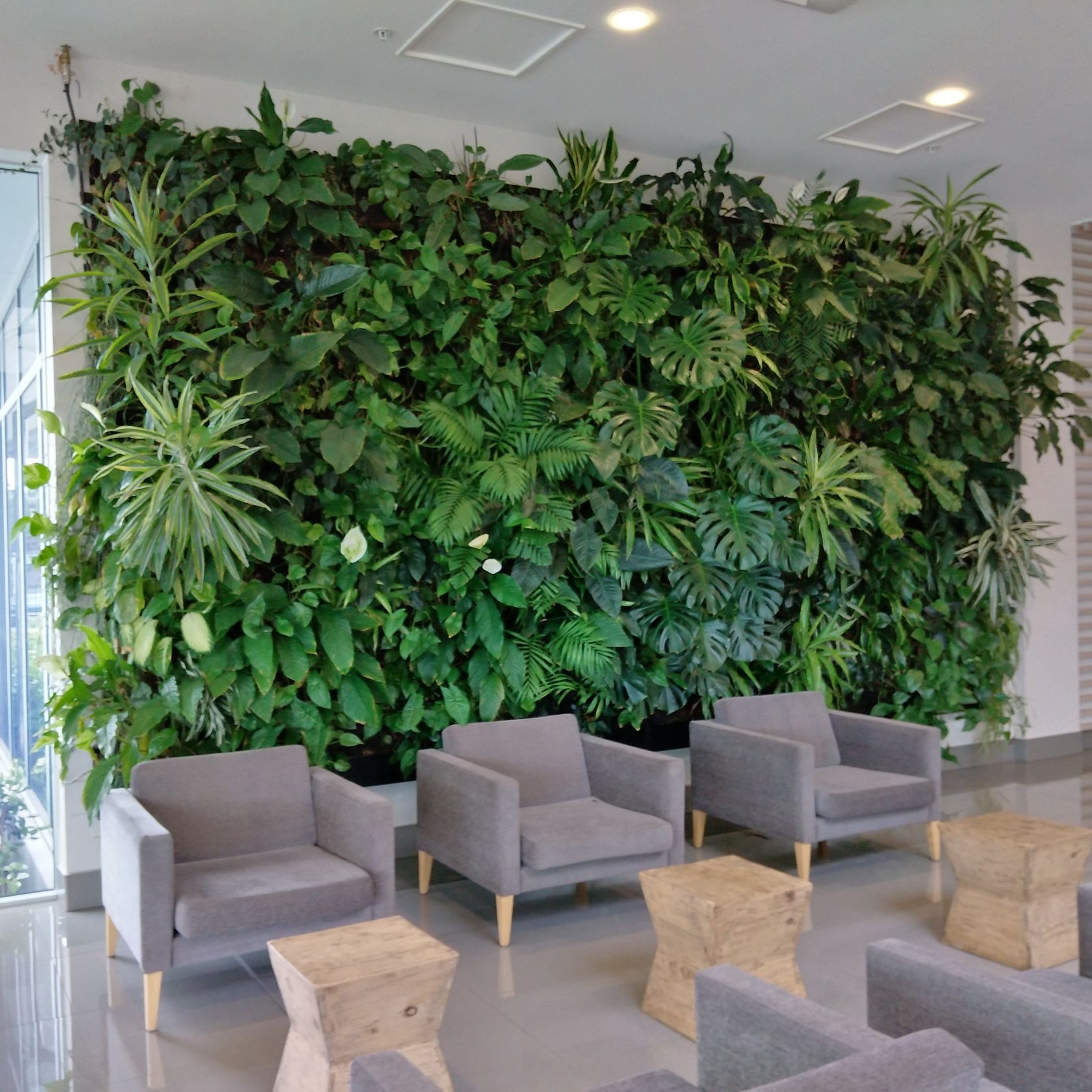 Vertical Green Walls | Hire Plants gallery detail image