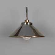 Nerissa Swan Neck Wall Light gallery detail image