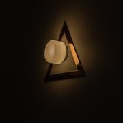 Nocturnal Corella Wall Light gallery detail image