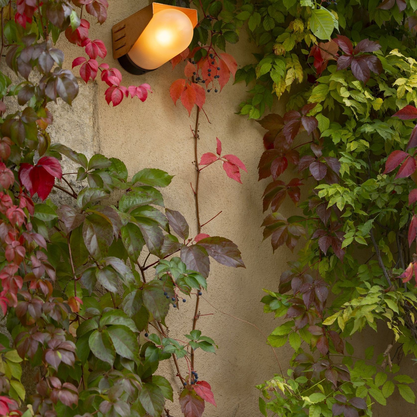 RP195 Model 1 Wall Light gallery detail image