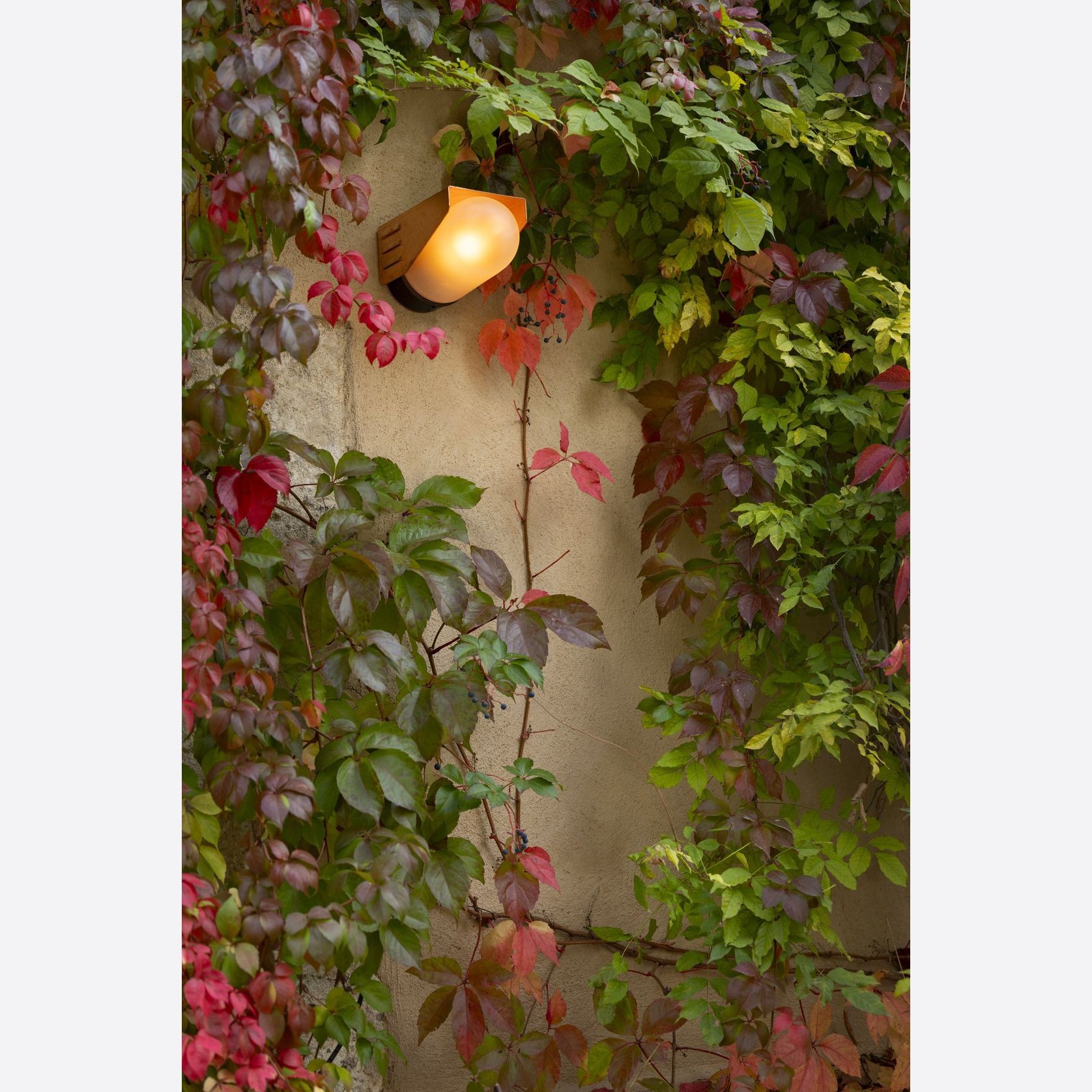 RP195 Model 1 Wall Light gallery detail image