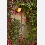 RP195 Model 1 Wall Light gallery detail image