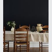 Eggshell Acrylic Paint in Aniseed gallery detail image