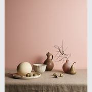 Eggshell Acrylic Paint in Babydoll gallery detail image