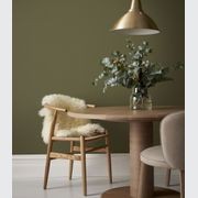 Eggshell Acrylic Paint in Timberline gallery detail image