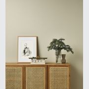 Eggshell Acrylic Paint in Volcanic Ash gallery detail image