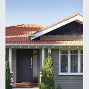 Eggshell Acrylic Paint in Wattleseed gallery detail image