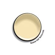 Resene Half Buttermilk gallery detail image