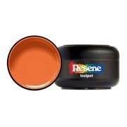 Resene Tangerine gallery detail image