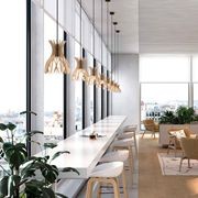 Domita S20 Pendant gallery detail image