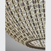 Nans 80cm Outdoor Ceiling Light gallery detail image