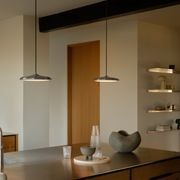 Artist 25 Pendant Light gallery detail image