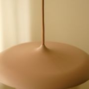 Artist 25 Pendant Light gallery detail image