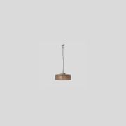 Model 2065 Pendant Lamp gallery detail image