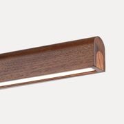 Arc Pendant | Tasmanian Blackwood gallery detail image