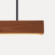 Array Pendant | Tasmanian Blackwood gallery detail image