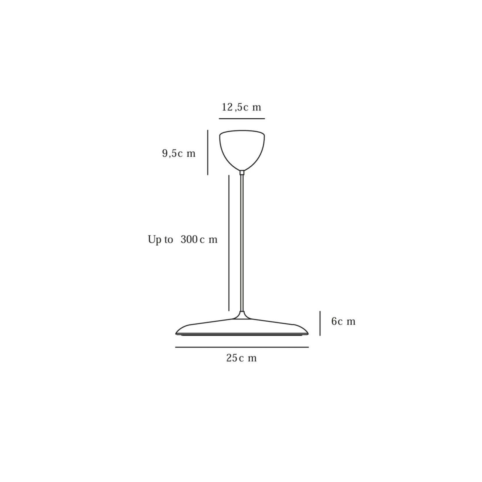 Artist 25 Pendant Light gallery detail image