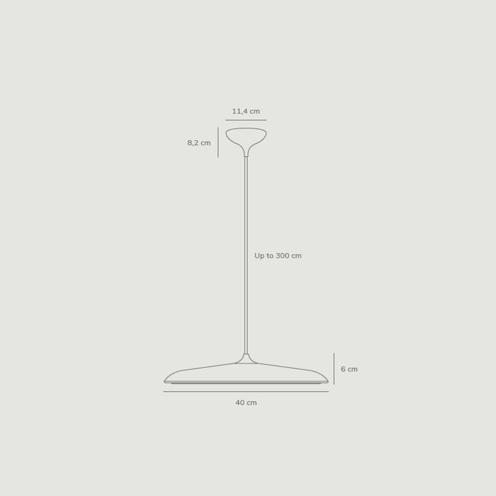 Artist 40 | Pendant gallery detail image