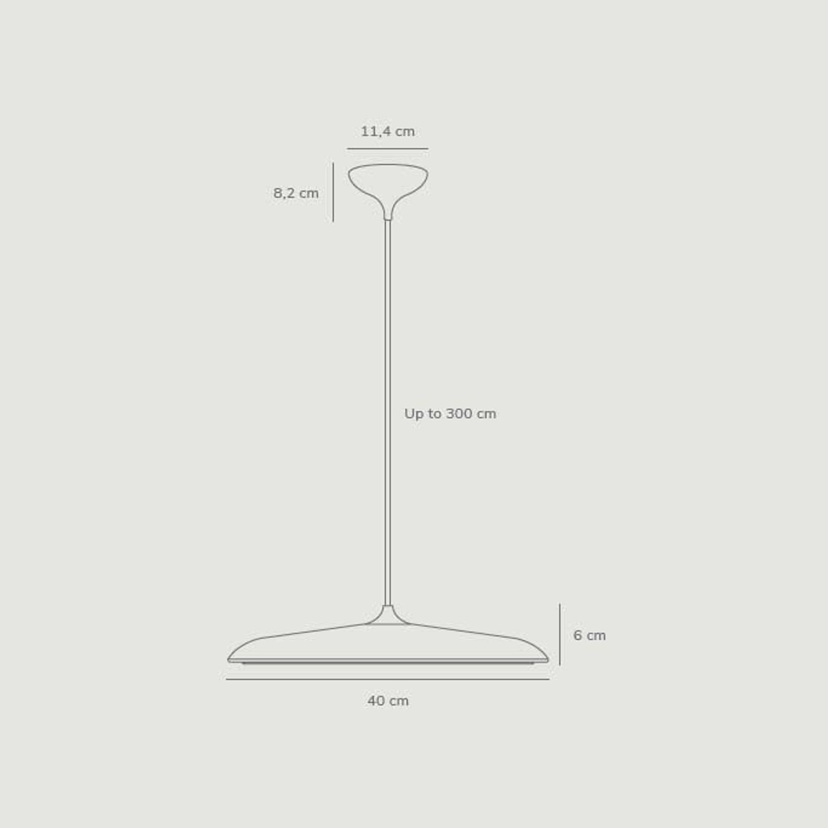 Artist 40 | Pendant gallery detail image
