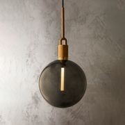 Forked Globe Pendant Light - Smoked gallery detail image