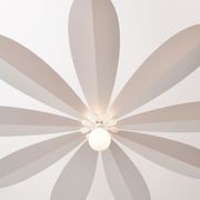 Magnolia gallery detail image