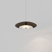 Coral Dome Pendant Light gallery detail image