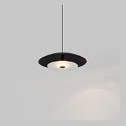 Coral Dome Pendant Light gallery detail image