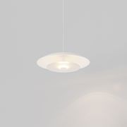 Coral Dome Pendant Light gallery detail image