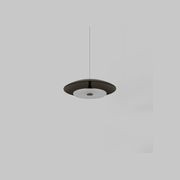 Coral Dome Pendant Light gallery detail image