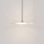 Coral Single Pendant - Clear Glass gallery detail image