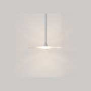 Coral Single Pendant - Clear Glass gallery detail image